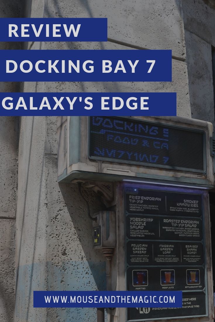 Review Docking Bay 7 - Galaxy's Edge Disneyland