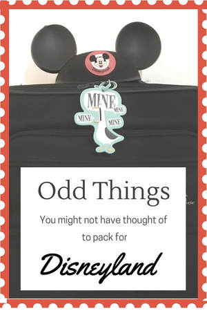 Odd things that you may not have thought to pack for your Disneyland Vacation