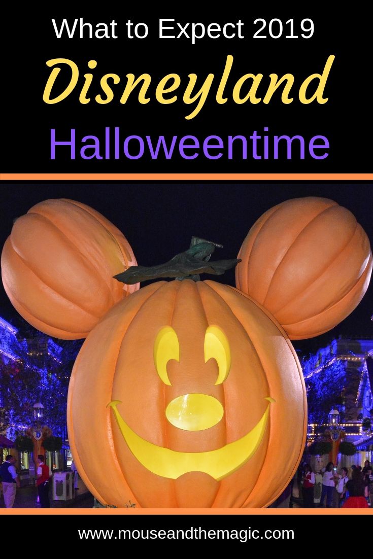 What to Expect 2019 - Disneyland at Halloweentime