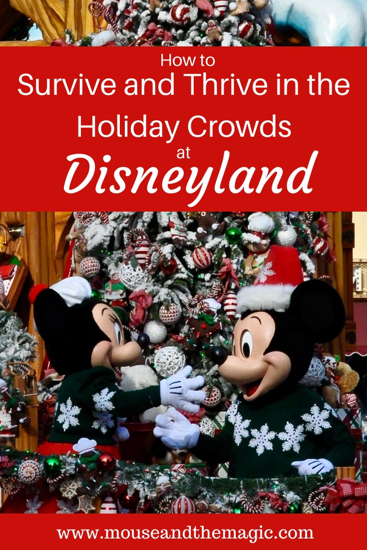 How to Thrive and Survive in the Holiday Crowds  at Disneyland