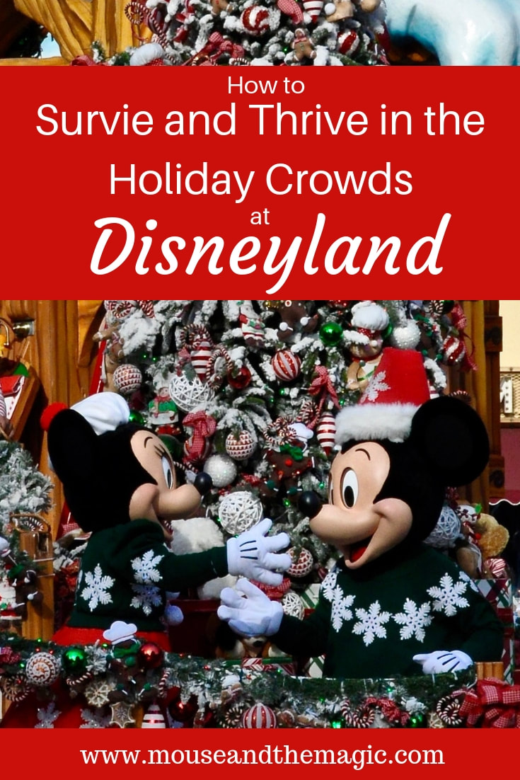 How to Survive and Thrive in the Holiday Crows at Disneyland